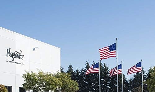 FlagSource North Carolina Nylon State Flag, Made in the USA, 4x6'