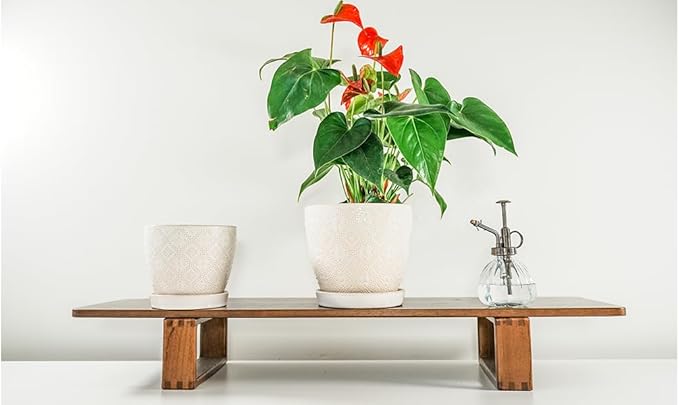 Docrin Ceramic Plant Pots Indoor, 6.6 + 5.5 Inch Planters with Drainage Holes and Saucer for Home/Office - Set of 2 /White