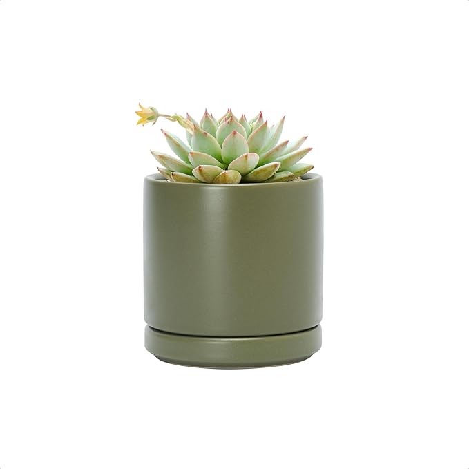 D'vine Dev 3.5 Inch Ceramic Planter Pot with Drainage Hole and Saucer, Indoor Cylinder Round Planter Pot, Olive, 94-O-A-J
