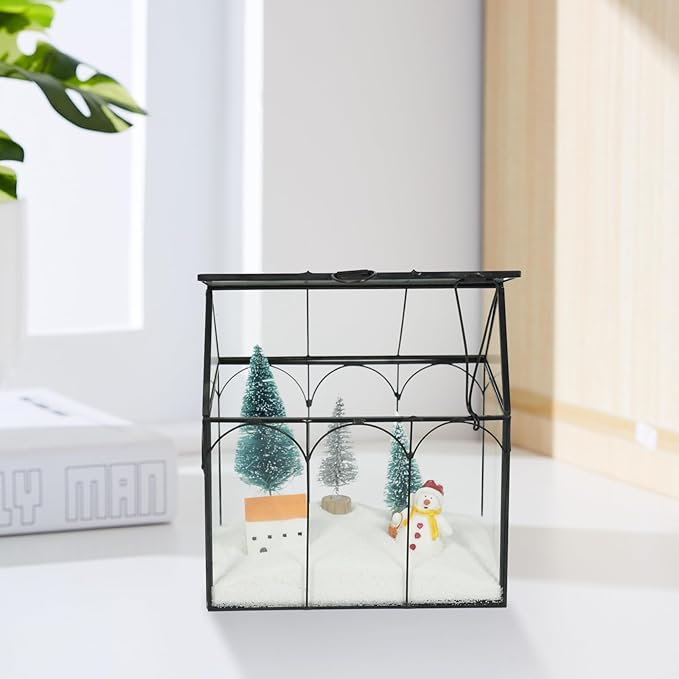 Ferrisland Glass Terrarium Plants with Lid, Black Geometric Terrarium Jar for Succulent Air Carnivorous Plant Moss Snail, House Shape Mini Tabletop Greenhouse Indoor Decor DIY Present (Only Terrarium)