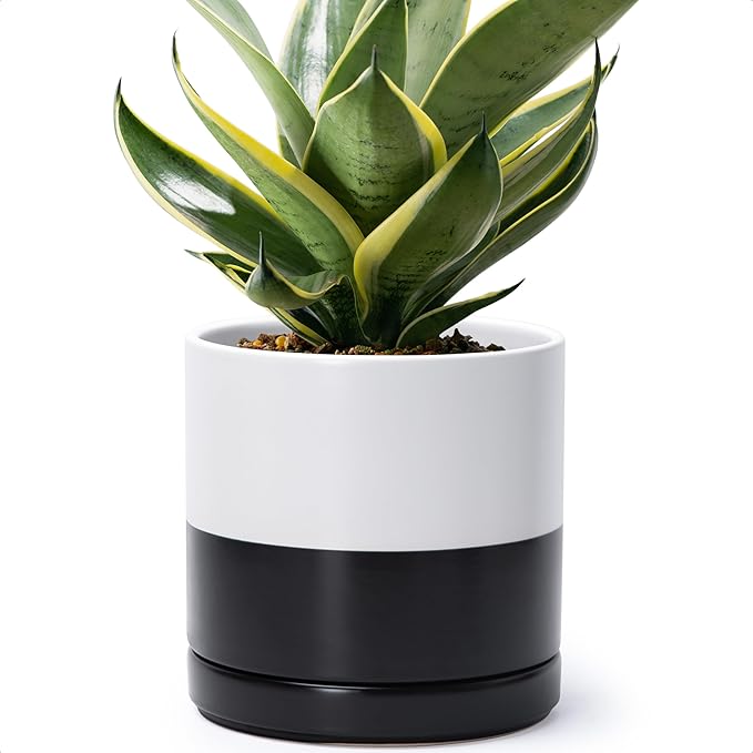 D'vine Dev 8.2 Inch Ceramic Planter Pot with Drainage Hole and Saucer, Indoor Cylinder Round Planter Pot, Layered Monochrome Black & White, 94-O-D-L