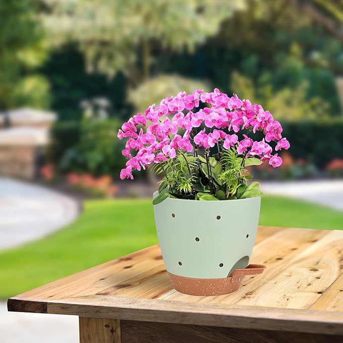 6 Inch Orchid Pots with Holes, 3 Pack Self Watering Planters for Orchids Plastic Orchid Pot Plant Flower Pots for Orchids Indoor Outdoor (Multicolor)