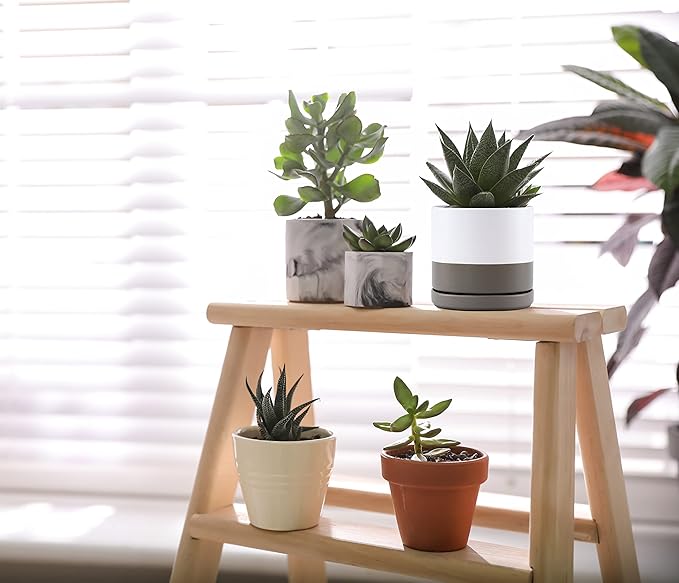 D'vine Dev Set of 4 Small Ceramic Plant Pots, 4.6 Inch Succulent Planter Pot for Plants with Drainage Hole and Saucer, White/Speckled Grey, 94-X-B-6