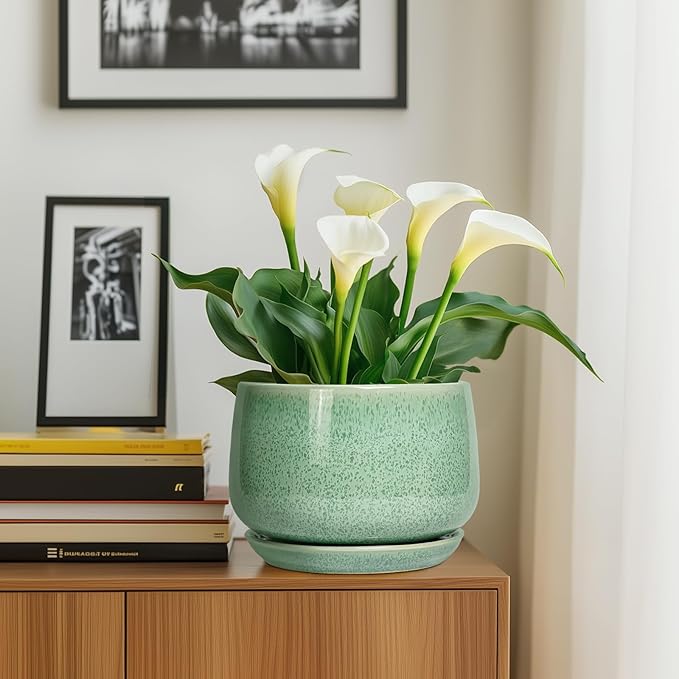 G EPGardening Ceramic Planter - 9 Inch Plant Pot with Drainage Hole and Saucer, Modern Round Planter, Flower Pot for Indoor Outdoor Plants, Garen House Room Decor, Housewarming Gifts, Green