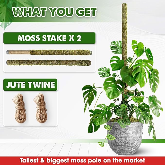 DUSPRO 80 Inches Large Moss Pole for Plants Monstera, Plant Stakes for Indoor Plants, Monstera Plant Support, Plant Support/Plant Pole for Big Climbing Plants Indoor (1pc., 80'')