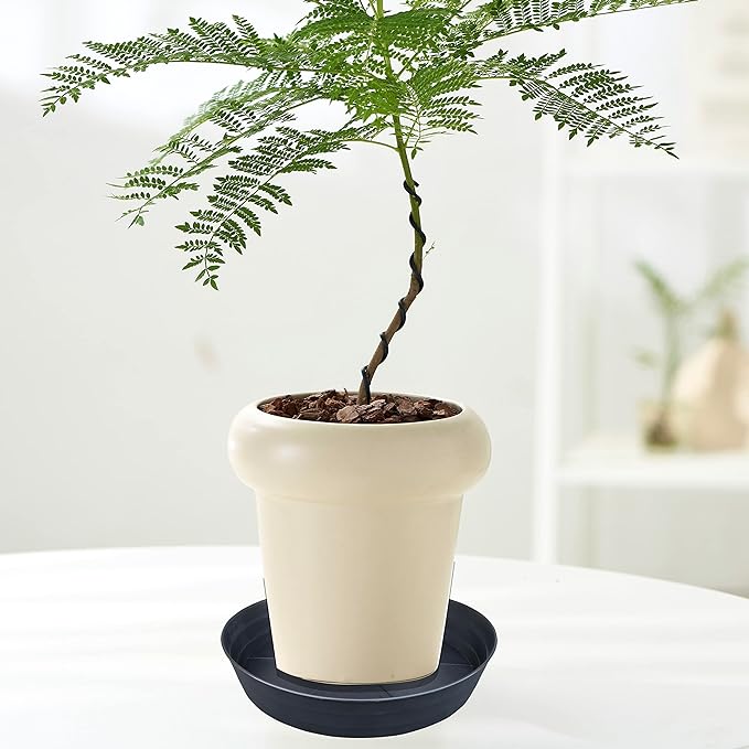 20 Inch Extra Large Plant Saucers, Extra-Deep 3.7 in Black Drip Trays for Flower Pot, Heavy Duty Drainage Tray Indoors No Holes, 3 Pack Plastic Planter Plate Water Catcher for Pots Base 16 17 18 in