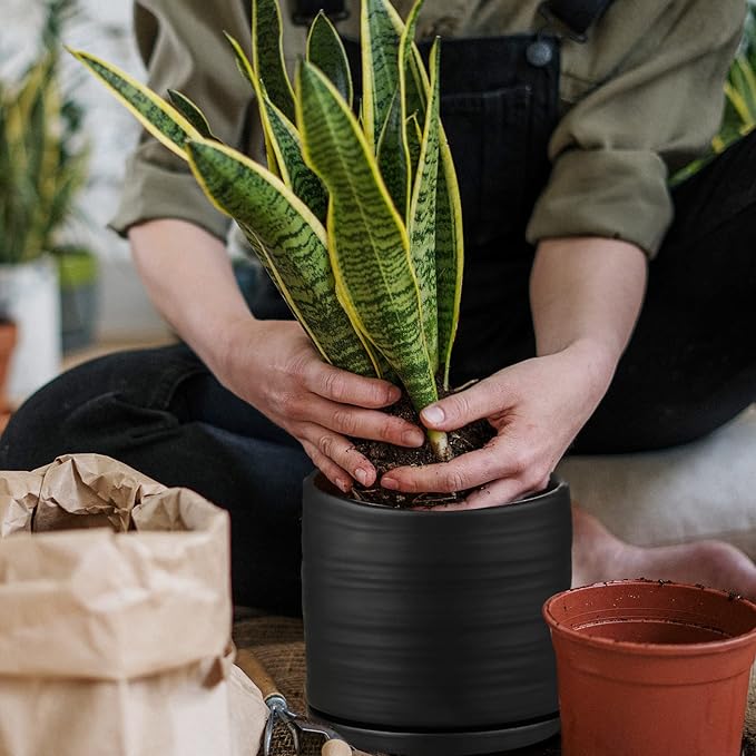 6 Inch Plant Pots, Ceramic Planter Pot with Drainage Hole & Saucer, Indoor/Outdoor Cylinder Round Planter Pot, Matte Black