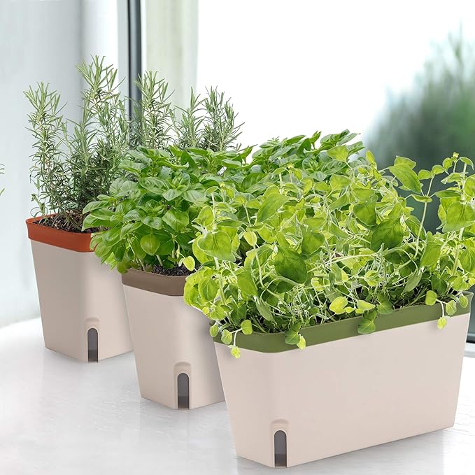 Amazing Creation Window Herb Planter Box, Vibrant Window Herb Garden, Self-Watering Rectangular Planter for Kitchen, Plants, and Succulents - Set of 3