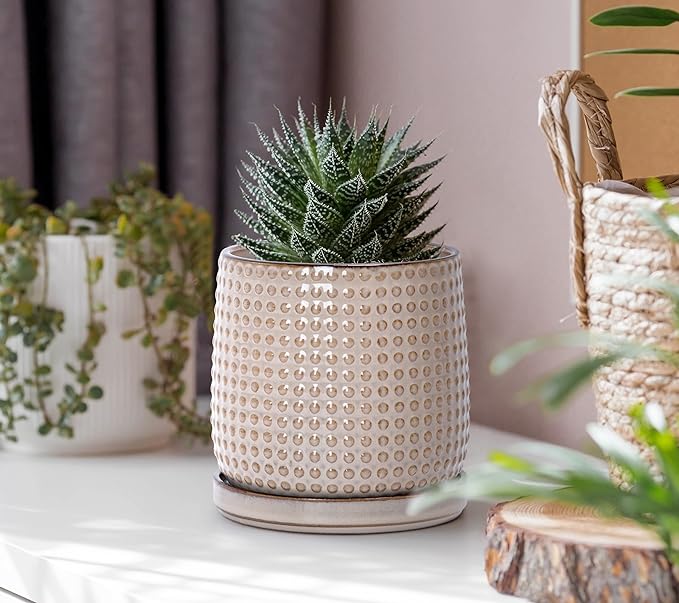 D'vine Dev 6 Inch 4 Inch Ceramic Indoor Planter Pots with Drainage Hole and Saucer, Beaded Design Flower Pots, Set of 2, Light Brown, 27-D-U-4