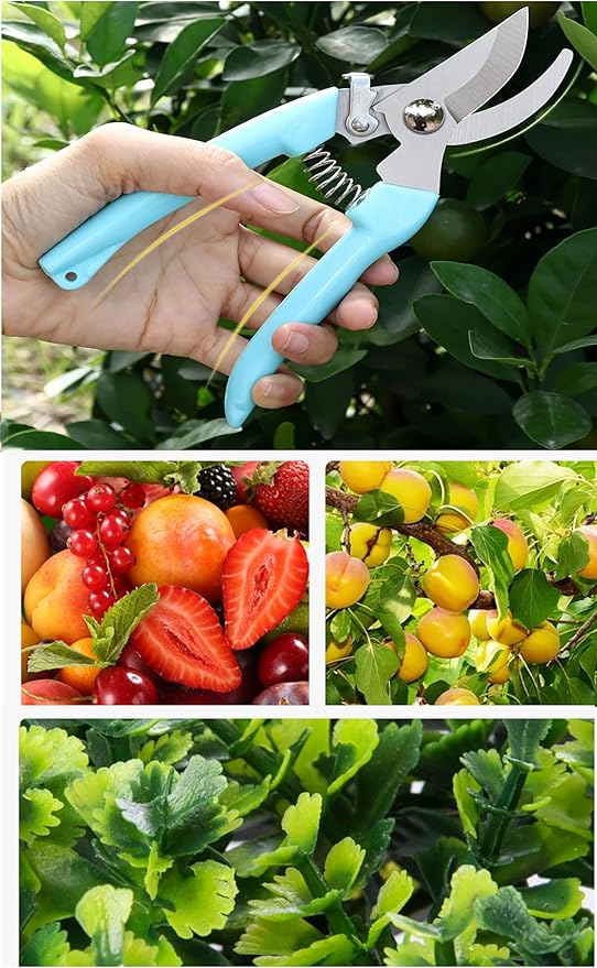 2pcs Garden Flower Shears Pruning Shears 6.9 inches Scissors Heavy Duty Plant Scissors for Cutting Flowers, Trimming Plants, Bonsai, Fruits Picking (Blue Handle 2pcs)