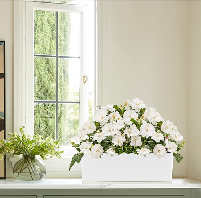 GardenBasix Elongated Self Watering Planter Pots Window Box 5.5 x 16 inch Indoor Home Garden Modern Decorative Planter Pot for All House Plants Flowers Herbs (White,1-Pack)