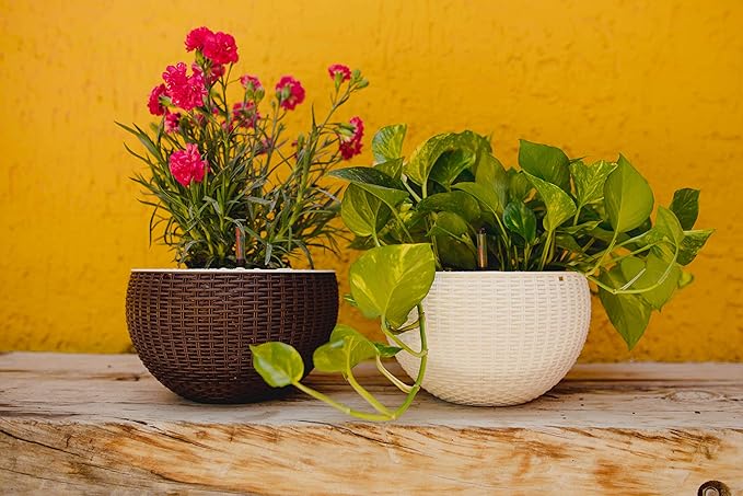 GARDENIX DECOR Self Watering Hanging Planter, 11'' Indoor, Brown, Coco Coir, with Water Level Indicator, Round, 1 Pack