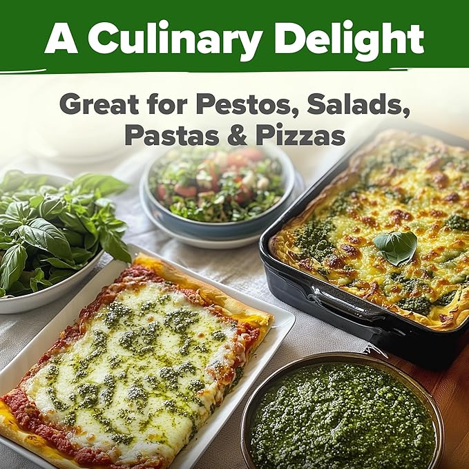 HOME GROWN 𝗨𝗦𝗔 𝗣𝗥𝗘𝗠𝗜𝗨𝗠 Italian Basil Seeds Bulk Pack 1,424 Sweet Large Leaf Basil Seeds for Planting 𝗡𝗢𝗡-𝗚𝗠𝗢 and Heirloom Herb Seeds for Planting Indoors or Outdoors (Ocimum basilicum)