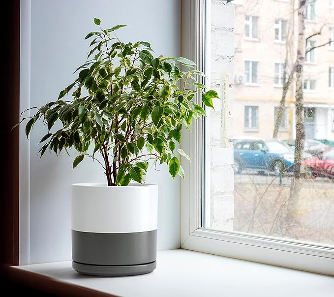 D'vine Dev Set of 2 Plants Pots, 8 Inch Ceramic Planter Pot for Plants with Drainage Hole and Saucer, White/Speckled Grey, 94-V-D-6