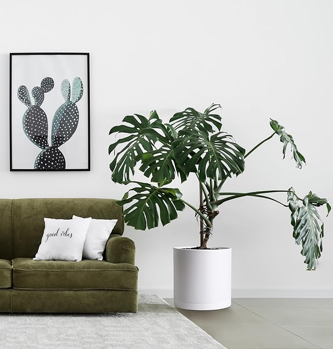 D'vine Dev 2 Pack 14 Inch Modern Plastic Plant Pots, Small Garden Planters for Plant with Drainage Holes and Saucers, White Color, 74-Z-Q-1