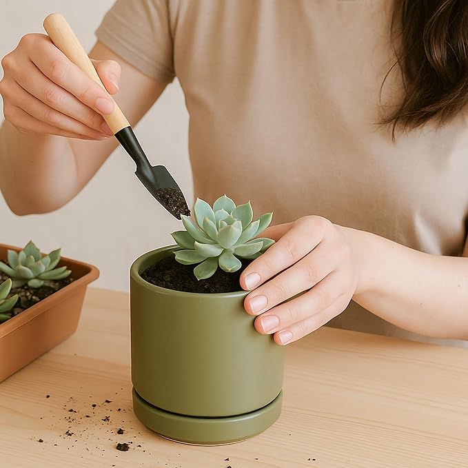 D'vine Dev Set of 4 Small Ceramic Plant Pots, 3.5 Inch Succulent Planter Pot for Plants with Drainage Hole and Saucer, Olive, 94-X-A-0