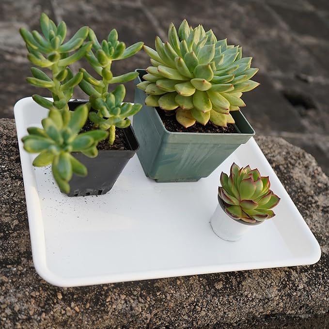 4 Pack Plant Saucer Tray Rectangular, Plant Saucers for Indoors, Heavy Sturdy Plastic Plant Drainage Trays, Plant Drip Trays for Pots, Seed Starter Growing Tray (11 x 9, Creamy White)