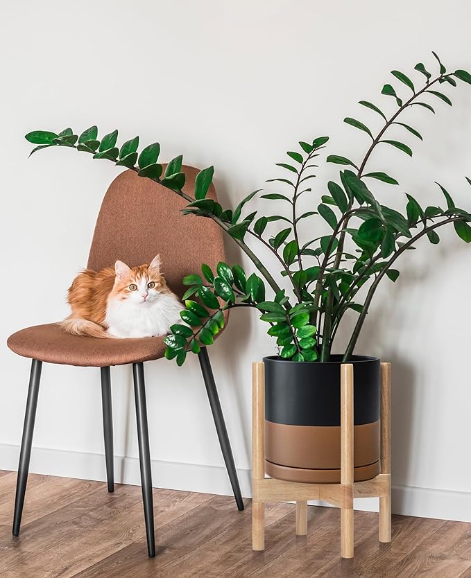 D'vine Dev Ceramic Planter with Natural Stand - 10 Inch Modern Round Flower Pot with Wood Planter Holder, Black/Speckled Tan, 55-B-K-7