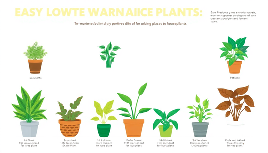 Top 10 Low-Maintenance Plants for Busy Homeowners