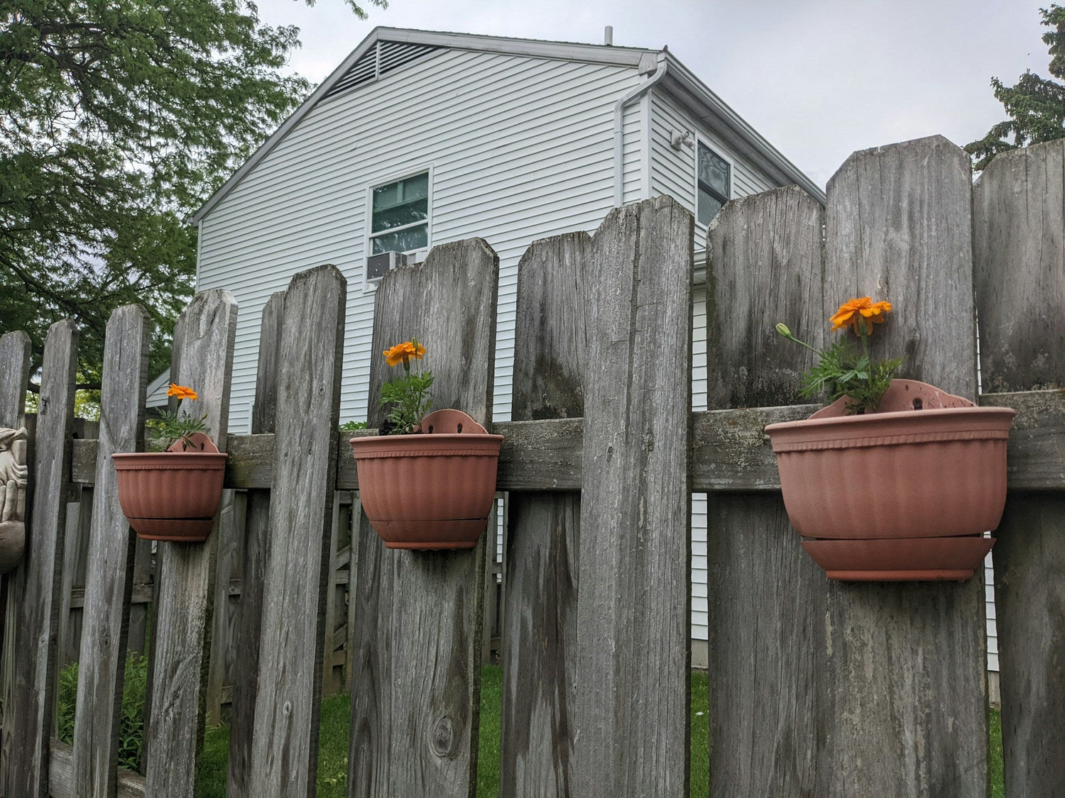 Pots & Planters