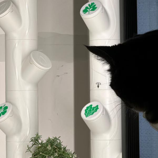 Grow Cubes for Hydroponic System/Compatible with Gardyn (10 Grow Cubes / 10 W&B caps)