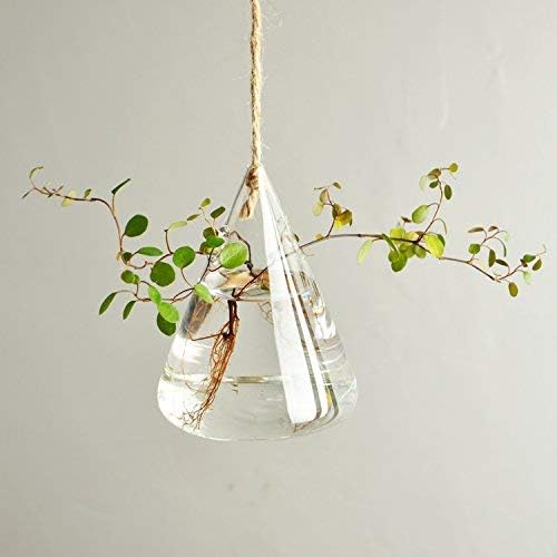Glass Hanging Planters Indoor Outdoor Plant Pots Water Plant Containers Flower Pots Glass Terrariums Wall Vases 3 Pieces