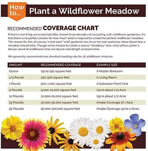 Dirt Goddess Super Seeds ~ Annual Gaillardia Blanket Flower Seed (1/2 Lb) Gaillardia pulchella Non GMO Bulk