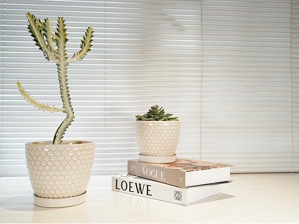 Docrin Ceramic Plant Pots Indoor: 6.6 + 5.5 Inch Planters with Drainage Holes and Saucer for Home/Office - Set of 2 /Milky White Honeycomb