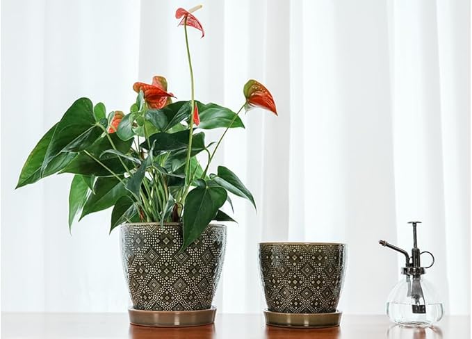 Docrin Ceramic Plant Pots Indoor: 6.6 + 5.5 Inch Planters with Drainage Holes and Saucer for Home/Office - Set of 2 /Dark Green