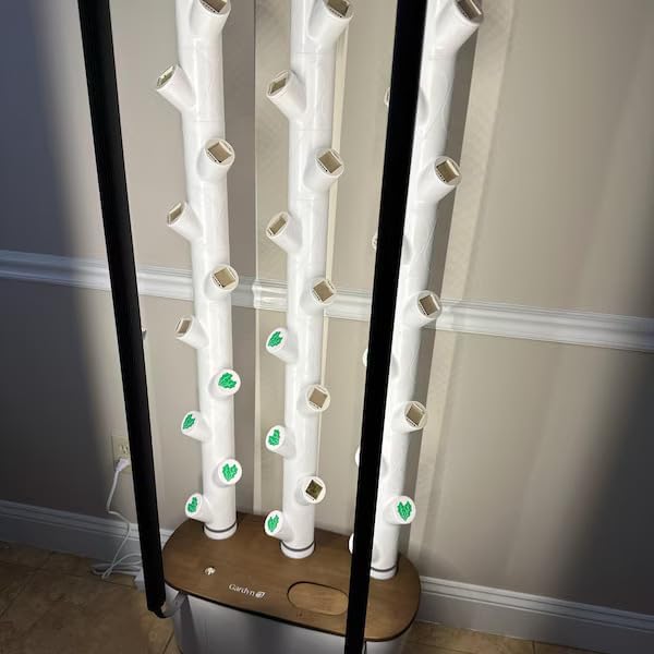 Grow Cubes for Hydroponic System/Compatible with Gardyn (10 Grow Cubes / 10 W&B caps)