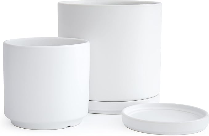 D'vine Dev 6 Inch & 8 Inch Ceramic Planter Pots for Plants with Drainage Hole and Saucer, Medium Plant Pots Set, White, 94-G-M-1
