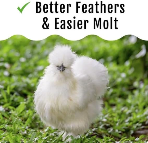 Grub Fuel Black Soldier Fly Larvae for Chickens - Nutrient Packed BSFL, Sustainably Sourced Snack for Poultry, Rich in Protein, Calcium, Fiber, Essential Fatty Acids, USA Grown (5LB)