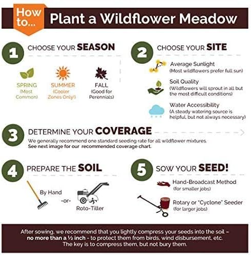 Dirt Goddess Super Seed~ Nasturtium, Tall Trailing Mix Seed~ Tropaeolum majus (1 Lb)