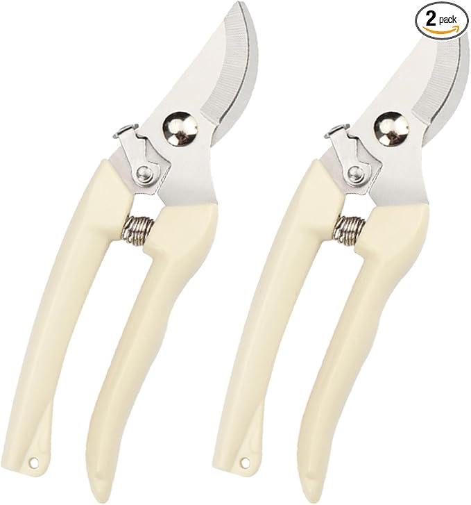 Garden Scissors for Plant, Tip Pruning Shears for Cutting Flowers, Trimming Plants, Bonsai and Fruits Picking (2 PC Bypass Blade Pruner)