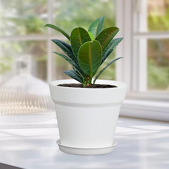 4 inch Small Plastic Nursery Pots, 16 Pack Plant Pots for Indoor Outdoor Plants, Flower Pots with Drainage Holes and Saucers, Decorative Seedling Starter Planters for House Plants, White