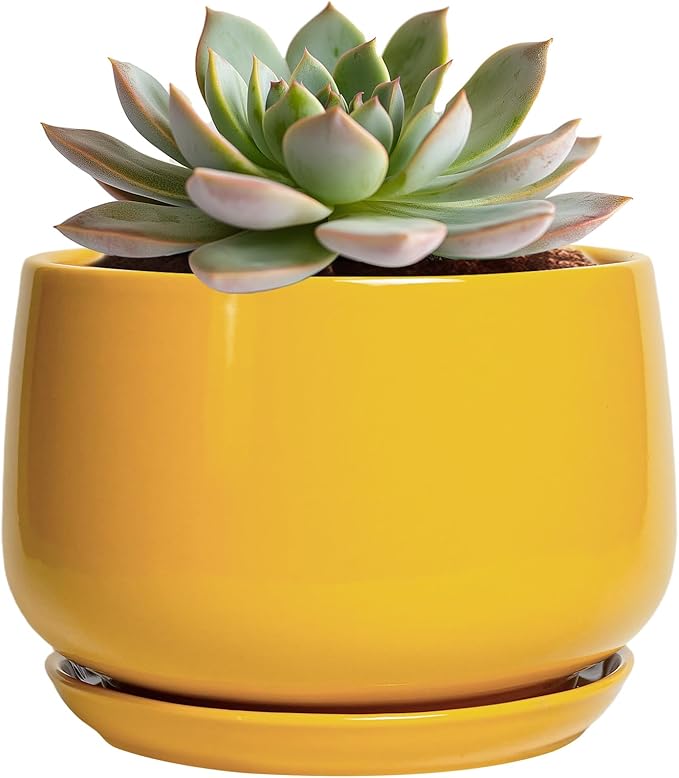 G EPGardening Ceramic Plant Pot - 6 Inch Ceramic Planter with Drainage Hole and Tray, Modern Round Planter, Flower Pot for Indoor Outdoor Plants, Plants Lovers Gifts, House Garden Decor, Yellow