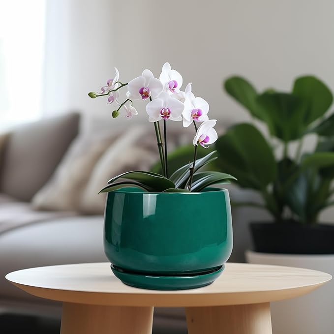 G EPGardening Ceramic Planter for Indoor Plants - 7 Inch Plant Pot, Round Planter with Drainage and Saucer, Round Flower Pots for Outdoor, Modern Desk Decor, Gift for Women Men, Green