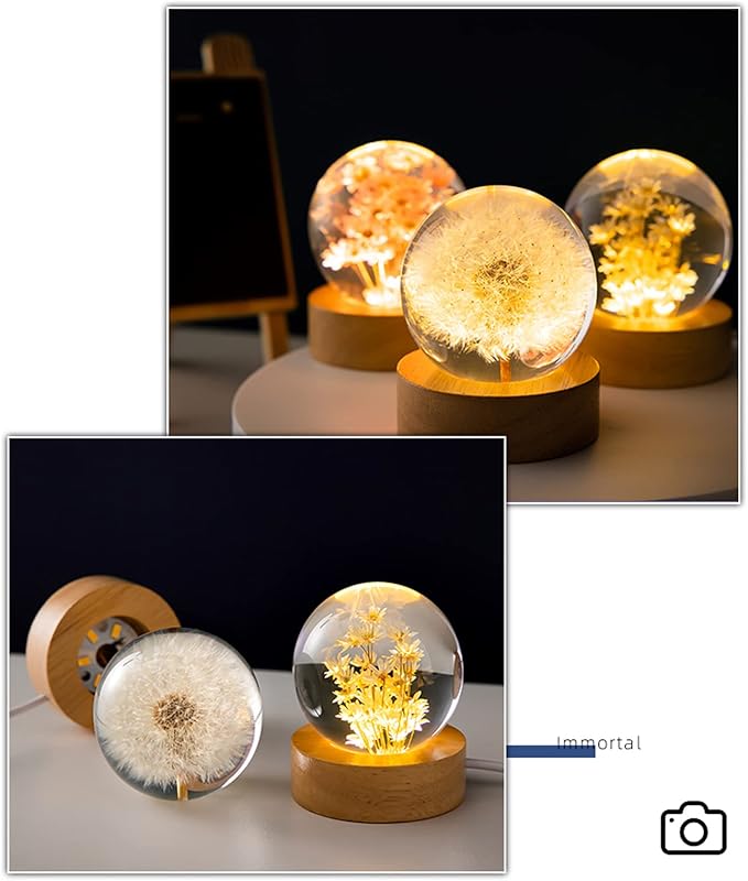 Flower Crystal Ball Night Light,2.4 inch Glass Ball Night Lamp with Woodern Base (Dandelion)