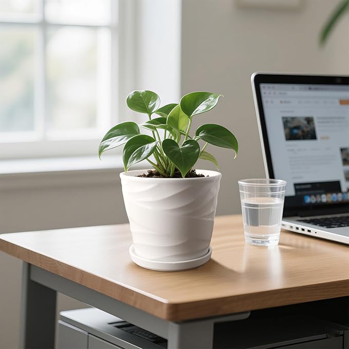 6.7 + 5.5 Inch Plant Pot, Ceramic Planter with Drainage and Saucer，Ceramic Pots for Plants, Indoor Plant pots，Succulent Orchid Flower Pot(Pure White)