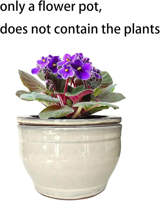 African Violet Pots Self Watering Round Ceramic Violet Pot (White, 6 inch)