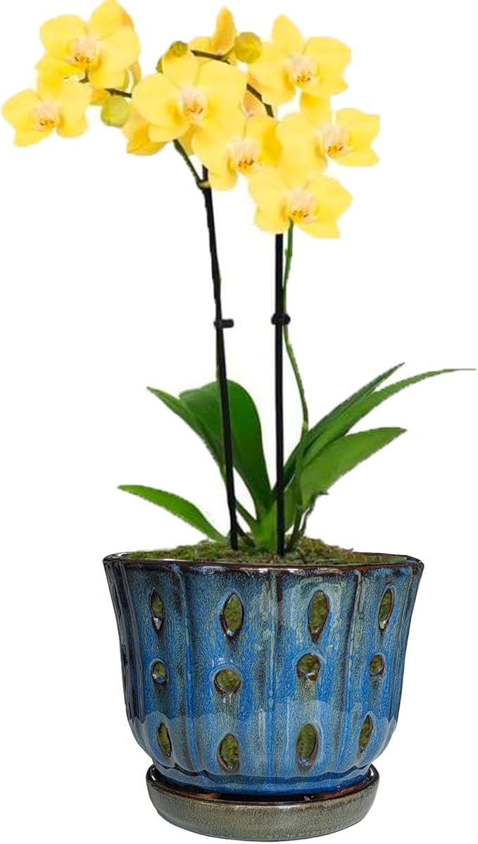 6 inch Round Ceramic Orchid Pot with Holes Orchid Planter (Dark Blue)