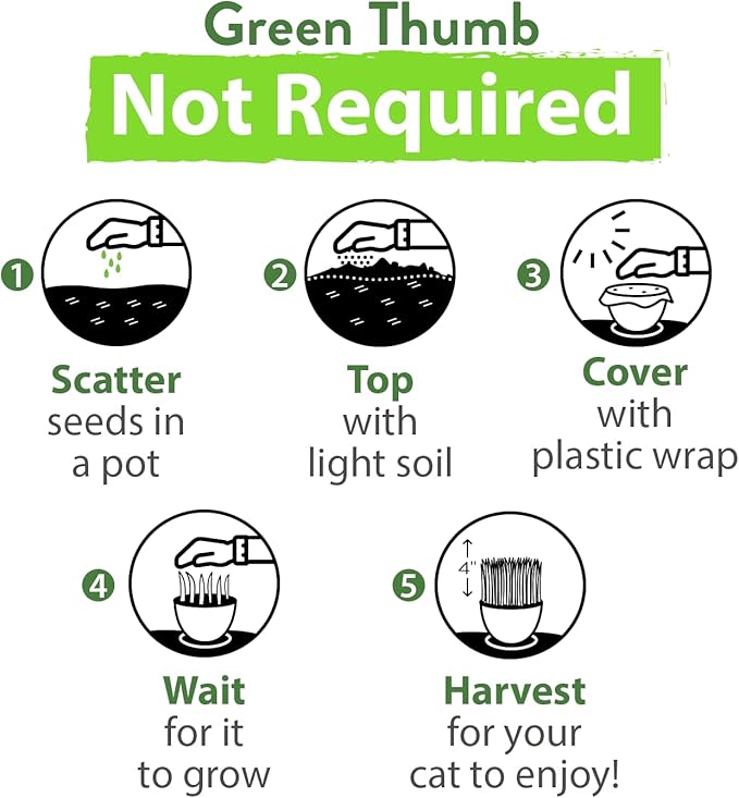 HOME GROWN 2,160+ Cat Plant Seeds Mix – 𝗡𝗢𝗡-𝗚𝗠𝗢 𝗨𝗦𝗔-𝗦𝗢𝗨𝗥𝗖𝗘𝗗 Heirloom Catnip, Lemongrass, Licorice, Thyme & Valerian – Pet-Friendly Indoor Garden Refill Kit for Cats & Kittens