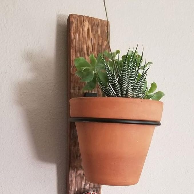 6 Pack 6in Flower Pot Holder Ring Wall Mounted Metal Planter Hooks Hangers Wall Bracket Wall Planter Hook (6, 6")