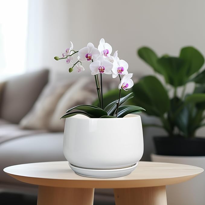 G EPGardening Ceramic Pots for Plants - 7 Inch Planter for Indoor Plants, Round Flower Pots with Drainage and Saucer, Modern Outdoor Planter, Garden Decor, Home Gifts, White