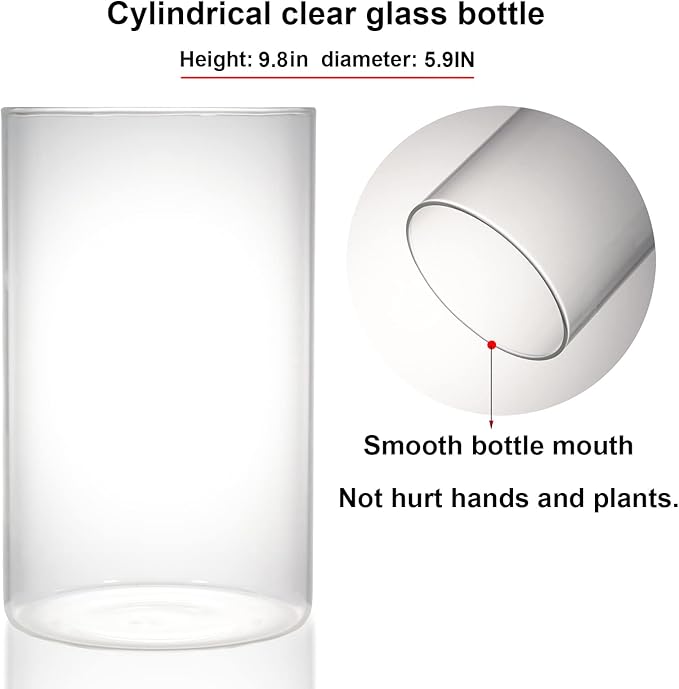 Desktop Glass Plant Terrarium with Grow Light (H:9.8" D:5.9"), for Succulent, Moss, Miniature Gardening Landscape, Betta Fish Tank, Indoor Plant Growth, Office Home Decoration, Plant Lovers Gifts