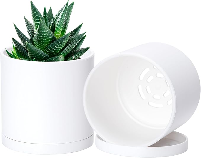 D'vine Dev 2 Pack 4 Inch Modern Plastic Plant Pots, Small Garden Planters for Plant with Drainage Holes and Saucers, White Color, 74-Z-E-1