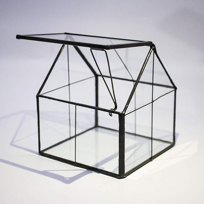 Ferrisland Glass Plant Terrarium Container Wardian Case Indoor Small Succulent Terrarium Planter w/Door for Tabletop Decor DIY - 5.0"x4.3"x4.3"