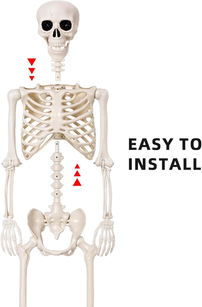 Halloween Skeletons Decorations - 5.4FT Life Size Posable Skeletons, Realistic Plastic Full Body Skeletons for Halloween Party Outdoor Haunted House Graveyard Decor