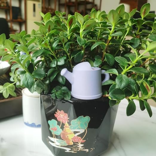 4 Pack Plant Watering Devices, Watering Can Shape Terracotta Watering Spikes, Vacation Self Watering Planter Insert, Automatic Plant Waterer for Indoor Outdoor Plants (Watering Cans)