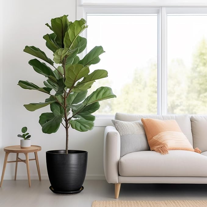 12 Inch Pots for Plants - Ceramic Planter Pot, Large Flower Pot with Drainage Hole and Saucer for Home Patio Garden Office Indoor Outdoor, Black